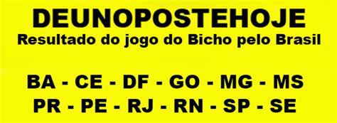 jogo do bicho de hoje sp - jogo do bicho ao vivo